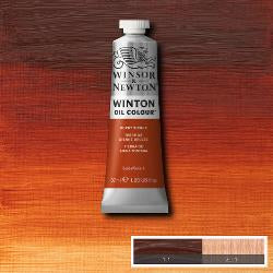 Winsor & Newton Winton Olieverf 37ml