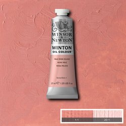 Winsor & Newton Winton Olieverf 37ml