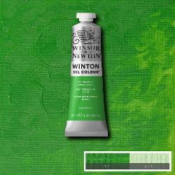 Winsor & Newton Winton Olieverf 37ml