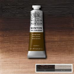 Winsor & Newton Winton Olieverf 37ml