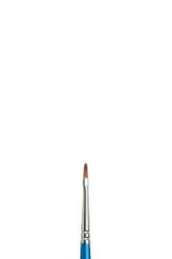 Winsor & Newton Cotman Water Colour Penseel serie 555