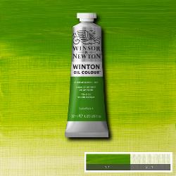 Winsor & Newton Winton Olieverf 37ml