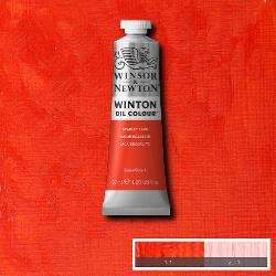 Winsor & Newton Winton Olieverf 37ml