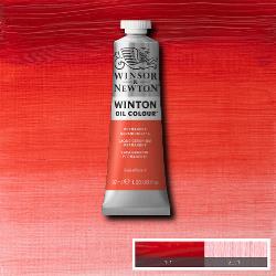 Winsor & Newton Winton Olieverf 37ml