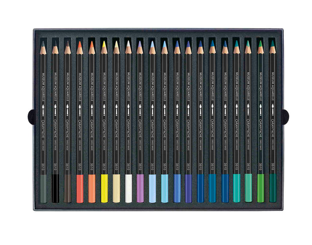 Expert Museum Aquarelle Aquarelle blik 20 potloden