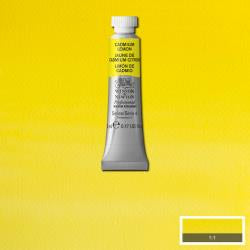 Winsor & Newton Professional Water Colour Tube 5 ML