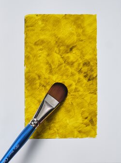 Winsor & Newton Aquapasto