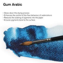 Winsor & Newton Arabische gom