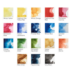 Winsor & Newton Professional Watercolour 12 Tube Reis set
