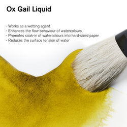 Winsor & Newton Vloeibare ossegal