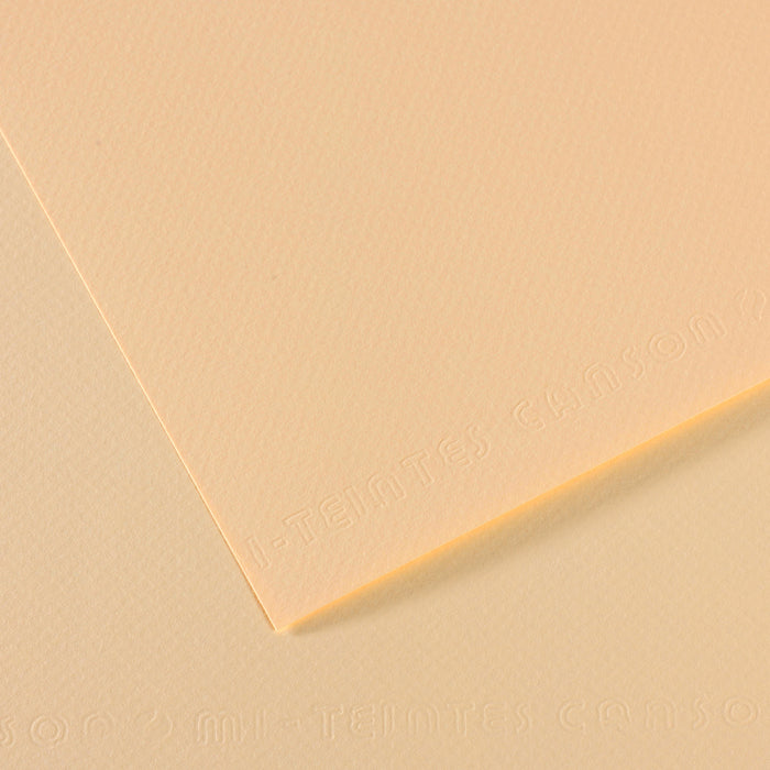 Mi-Teintes papier van Canson 50 kleuren 160 grams