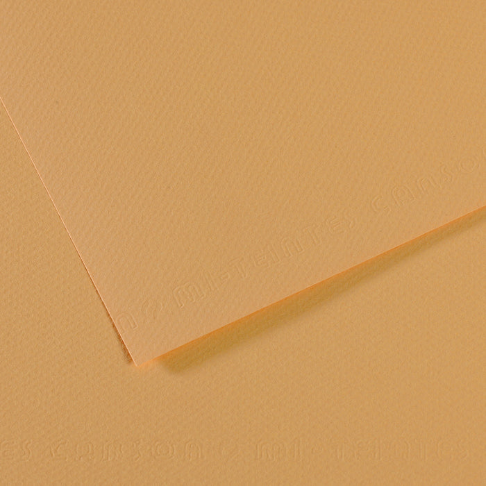 Mi-Teintes papier van Canson 50 kleuren 160 grams