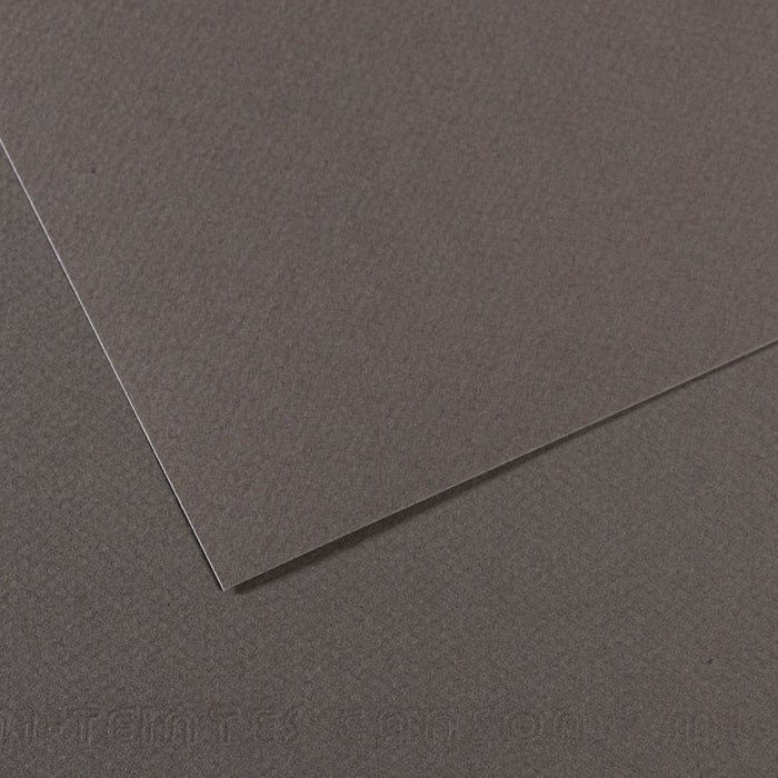 Mi-Teintes papier van Canson 50 kleuren 160 grams