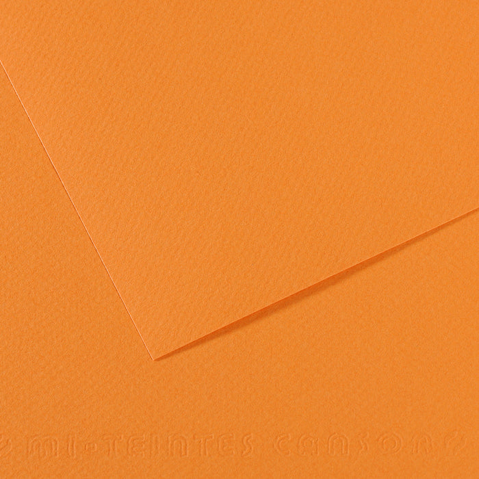 Mi-Teintes papier van Canson 50 kleuren 160 grams