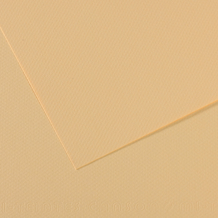 Mi-Teintes papier van Canson 50 kleuren 160 grams