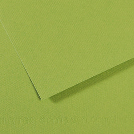 Mi-Teintes papier van Canson 50 kleuren 160 grams