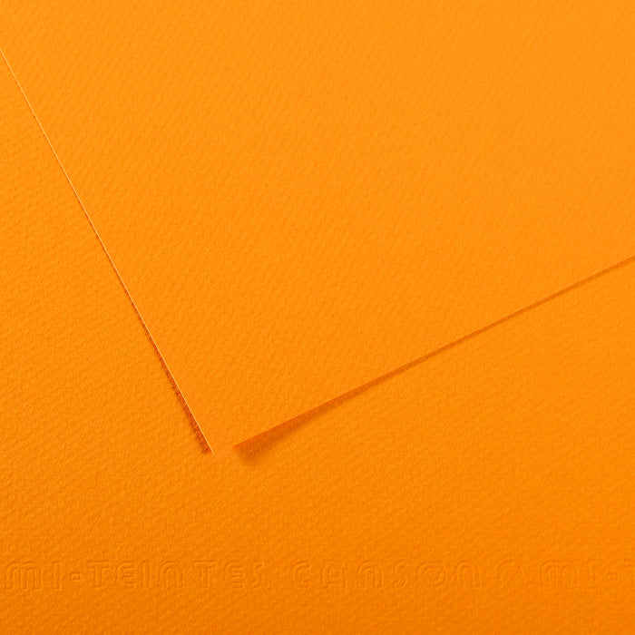 Mi-Teintes papier van Canson 50 kleuren 160 grams
