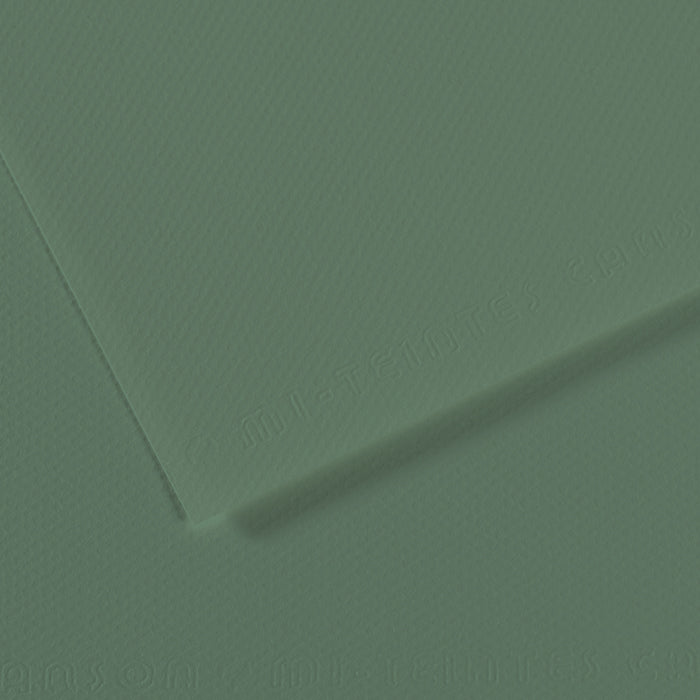 Mi-Teintes papier van Canson 50 kleuren 160 grams
