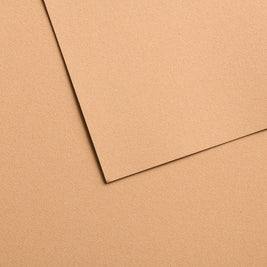 Mi-Teintes papier van Canson Velvet 14 kleuren 430 grams