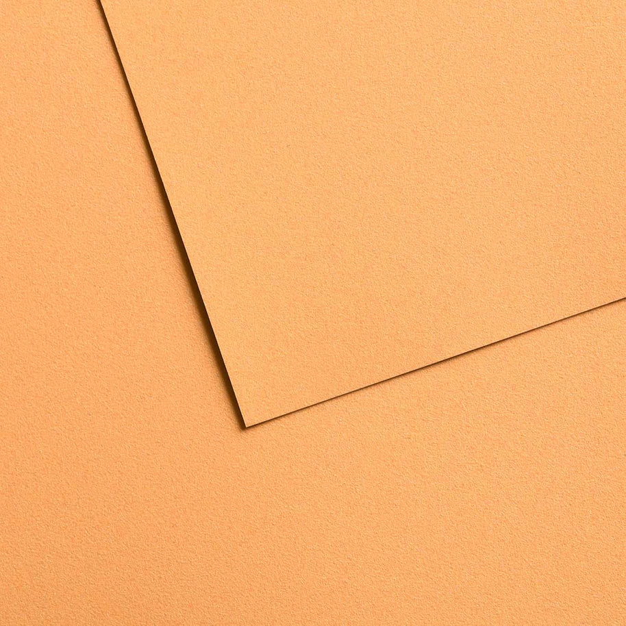 Mi-Teintes papier van Canson Velvet 14 kleuren 430 grams