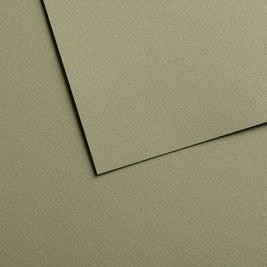 Mi-Teintes papier van Canson Velvet 14 kleuren 430 grams